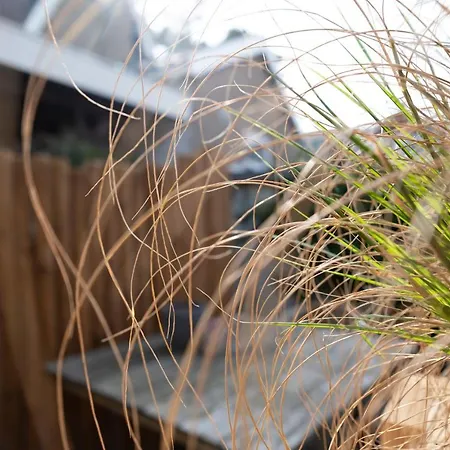 Apartmán Zer En Loft In Centrum