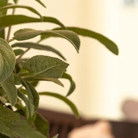 Zer En Loft In Centrum *