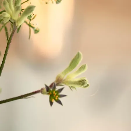 Apartmán Zer En Loft In Centrum Bergen