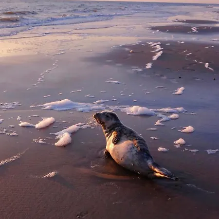 Zer En Loft In Centrum Apartmán Bergen