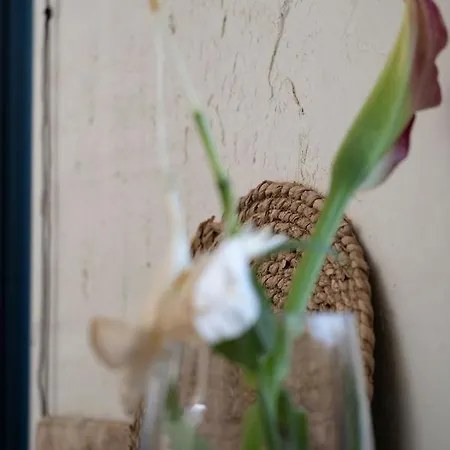 Zer En Loft In Centrum *