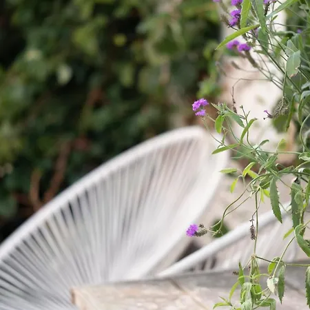 Zer En Loft In Centrum *