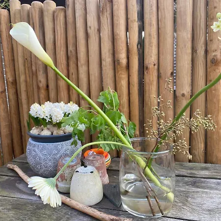 Zer En Loft In Centrum