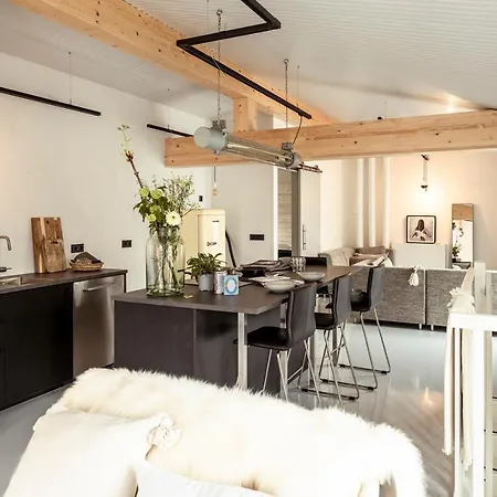 Apartment Zer En Loft In Centrum